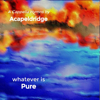 Whatever Is Pure - Acapeldridge new Song