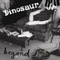 Been There All the Time - Dinosaur Jr. lyrics