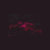 I Can't Forget You - Single - Kayou.