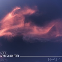 Senses