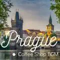 A Czech Concerto
