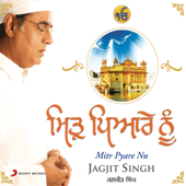 Satnam Sri Wahe Guru (Kirtan) - Jagjit Singh