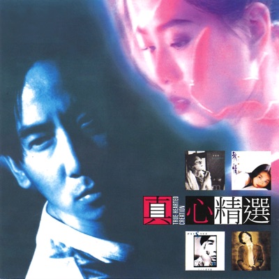 真心精選
