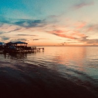 Lost in Summer Days - Single - Kolo