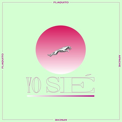 Yo Sé - Single