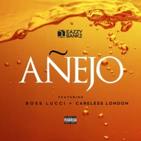Anejo (feat. Boss Lucci & Careless London) - Single - DJ Eazzy Bankz