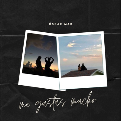 Me Gustas Mucho - Single
