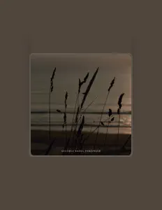 Ouça Raoul Panzinger, assista a videoclipes, leia a biografia, veja as datas das turnês e mais!