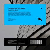 Augmented 002 Mixed / Rauschhaus (DJ Mix) artwork