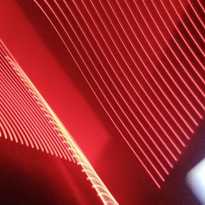 Grapes Seed - Single