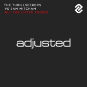 All the Little Things (A.R.D.I. Remix) [The Thrillseekers vs. Sam Mitcham] artwork