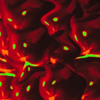 MÜÜS - Single - Soukey & ARTBABE