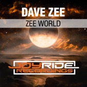 Zee World (Radio Mix) artwork