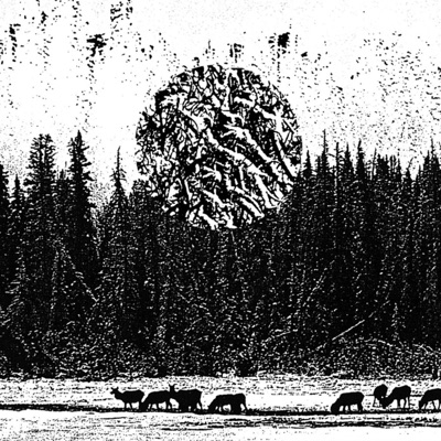 Whiteshell Magic - EP