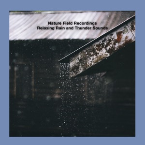 Relaxing Rain and Thunder Sounds - EP