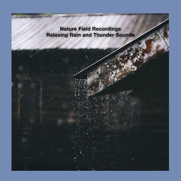 Relaxing Rain and Thunder Sounds - EP
