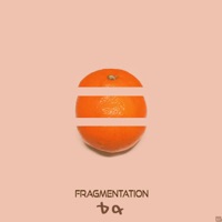 Fragmentation - DQ