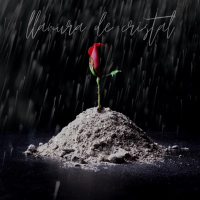 Llanura de Cristal - Single