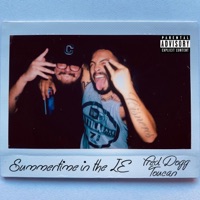 Summertime in the I.E. (feat. Toucan) - Single - Fred Dogg