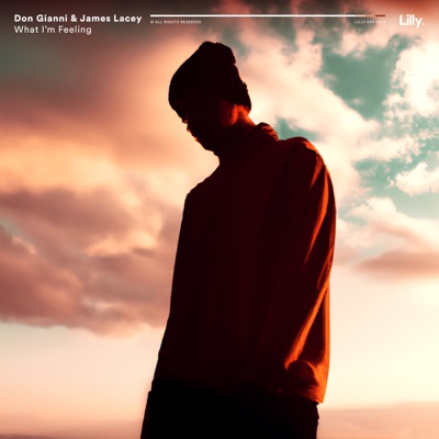 What I'm Feeling - Single