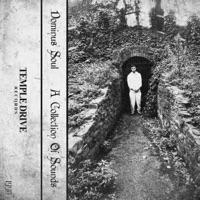 A Collection of Sounds - Dominus Soul