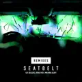 Seatbelt