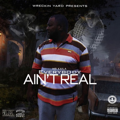 EveryBody Ain't Real - Single