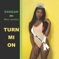 Turn Mi On - Single - DanDan