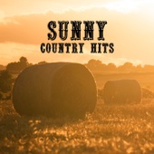 Sunny Country Hits: The Good Time with Western Music artwork