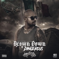 Brown Down & Dangerous - Maldito