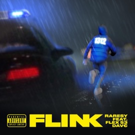 Flink (feat. flex53 & DaveDaveDave) Raresy