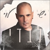 לבדי - Single - Ishay Levi