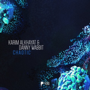 Chaotic (Karim Alkhayat with Danny Wabbit)