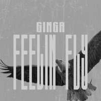 Feelin Fly - Single - Ginga