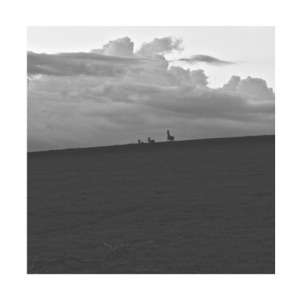 Sunset Stroll - Single