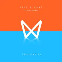 Said & Done (feat. Reiki Ruawai)