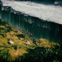 Bearfoot - Single - Tsoya Malsoon