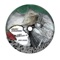 Acid from Hell - Mirko Pallucca lyrics