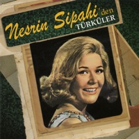 Evlerinin Önü Tahta Taraba