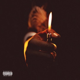 Is What It Is Pet Zebra