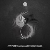 Light of Consciousness (Juan Pablo Torrez & Kamilo Sanclemente Remix) artwork