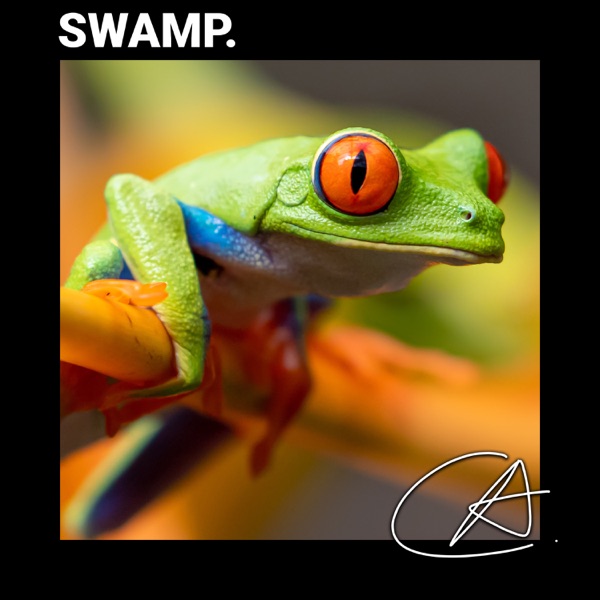 Frogs at the River Sounds