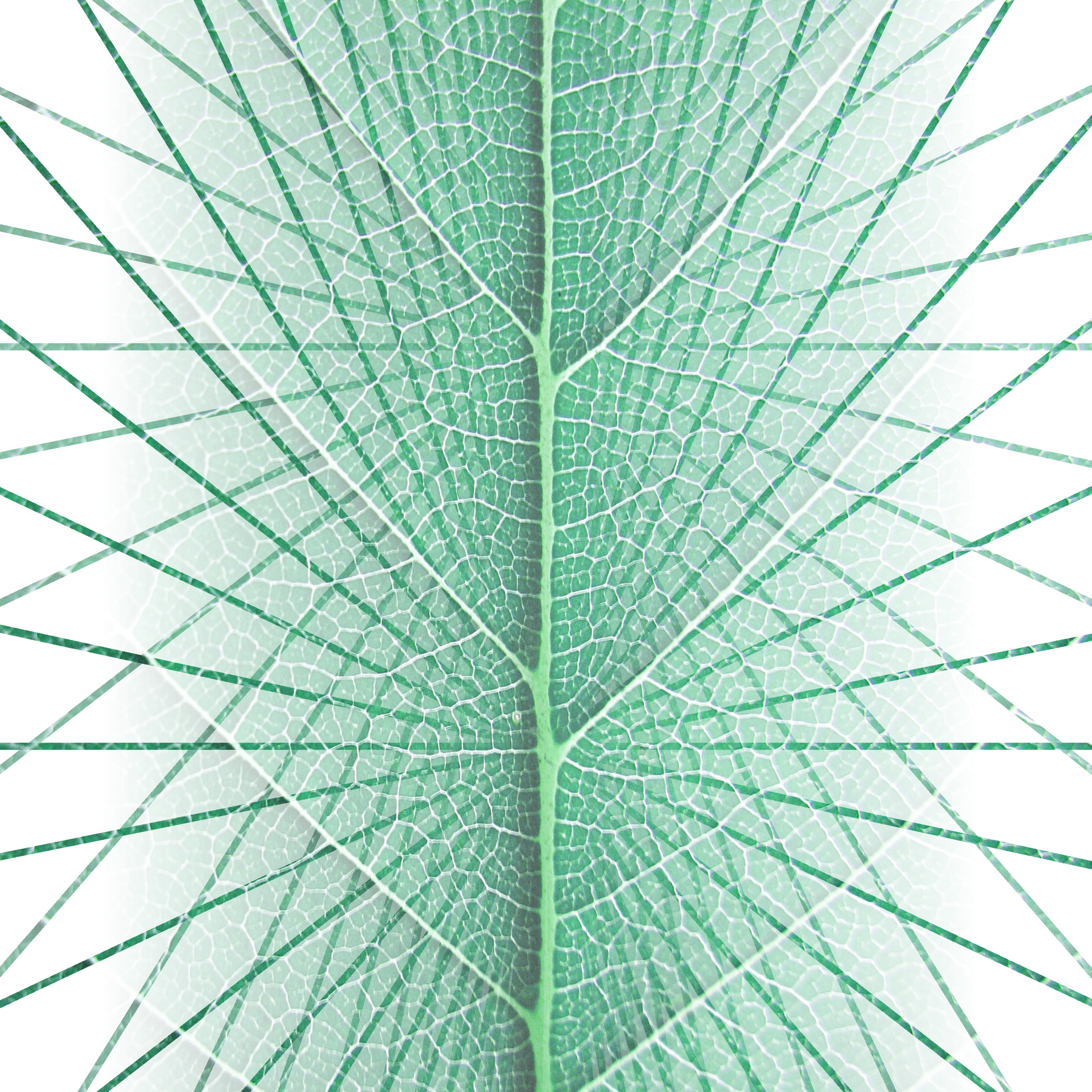 God of New Beginnings - EP