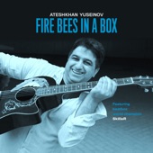 Fire Bees In A Box artwork