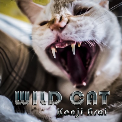 Wild Cat - Single