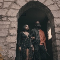 Megan Thee Nexus - Single - Slim Dre Drizzy