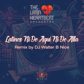 Latinos Ni de Aquí Ni de Allá (DJ Walter B Nice Remix) artwork