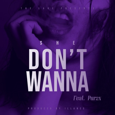 She Don't Wanna (feat. Pur2x & Illanes) - Single