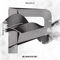 Mr Moon - The Night Will Follow (feat. Mey)