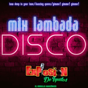 Mix Lambada Disco: How Deep Is Your Love / Dancing Queen / Gimme! Gimme! Gimme! - Single